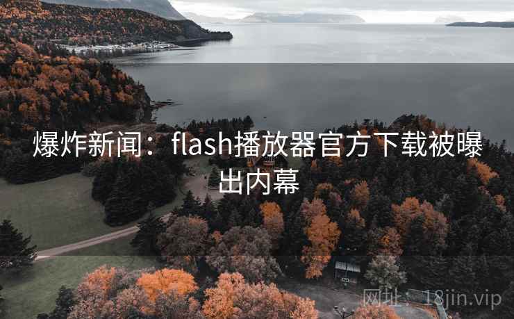 爆炸新闻：flash播放器官方下载被曝出内幕